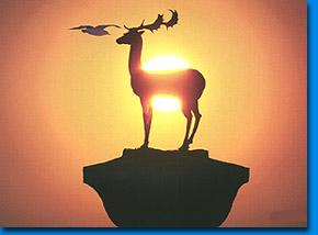 The statue of the deer at the entrance of the yacht harbor.