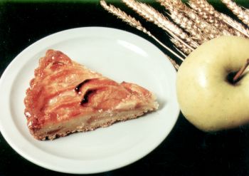 slice.jpg (16319 bytes)